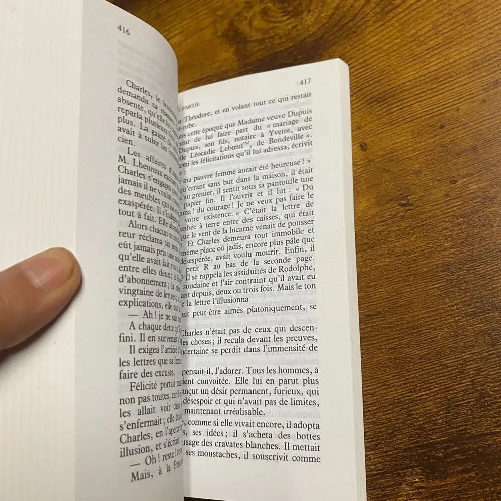book madame bovary